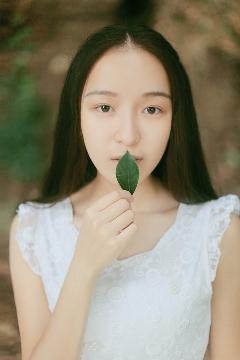 斗破苍穹年番免费高清观看